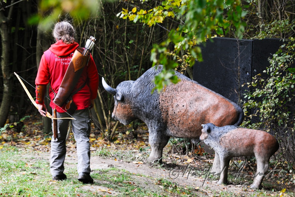 Bogenschütze auf dem 3D-Parcours neben einem Fake-Bison