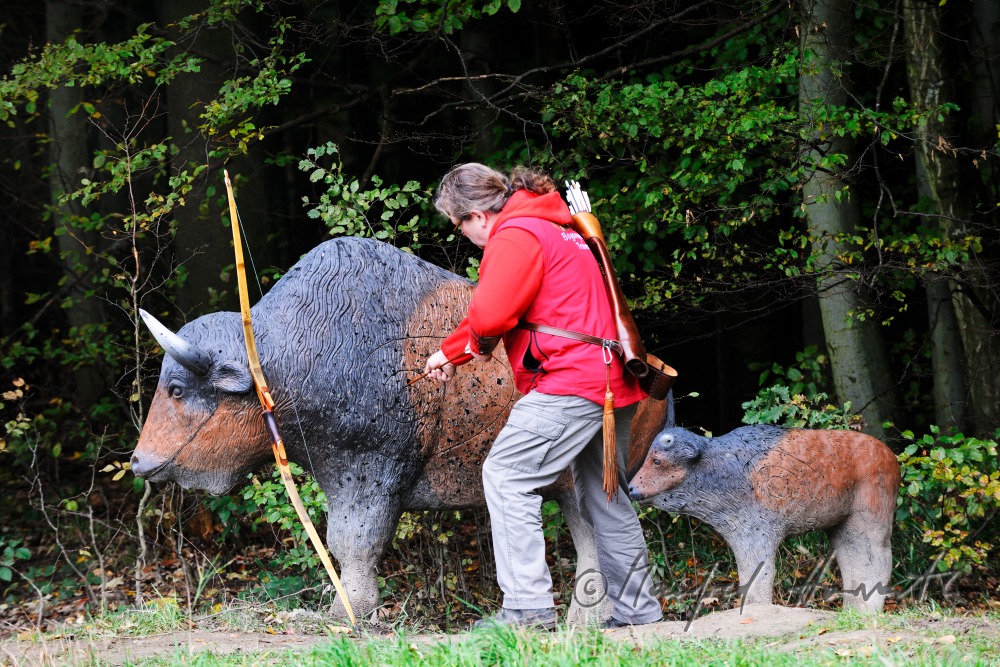 Bogenschütze auf dem 3D-Parcours zieht die Pfeile aus einem Fake-Bison