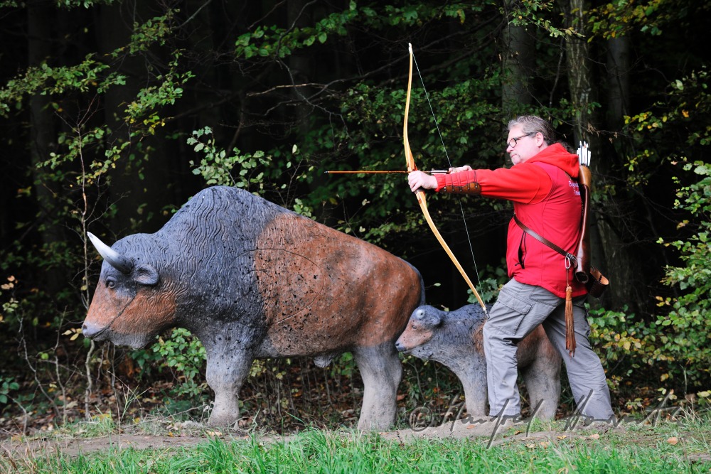 Bogenschütze auf dem 3D-Parcours neben einem Fake-Bison