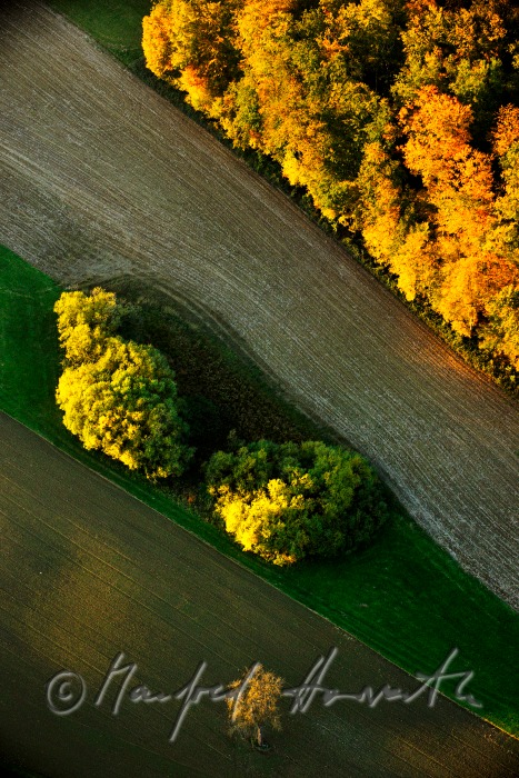 Mischwald in Herbstfarben
