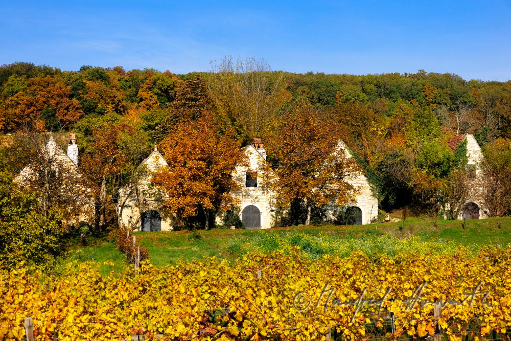 Weinkeller bei der Bärenhöhle