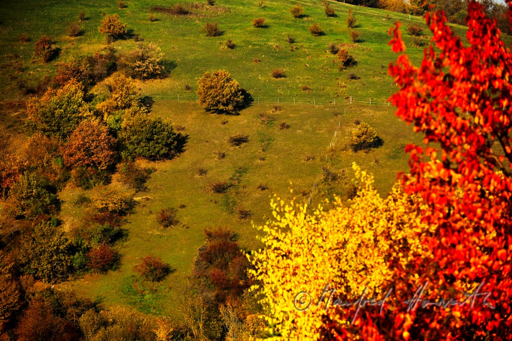 Blick vom Mahdberg auf das Ährenfeld