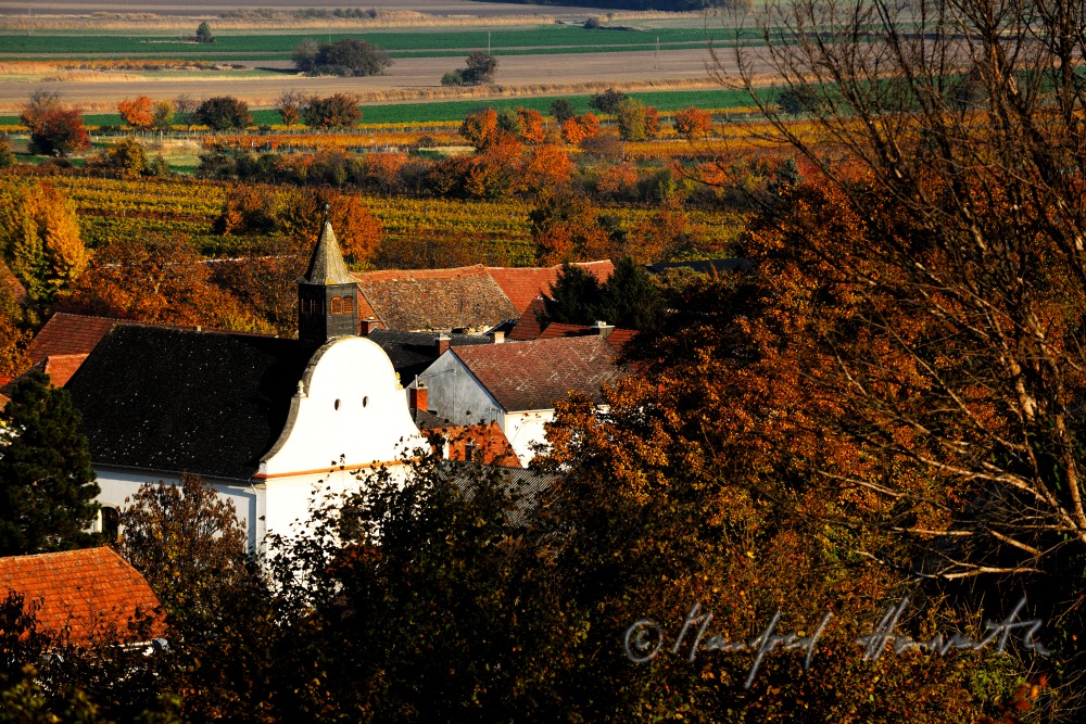 Blick über das Ährenfeld auf die Nepomuk-Kapelle