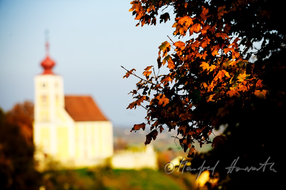 Blick über das Ährenfeld auf die Wehrkirche