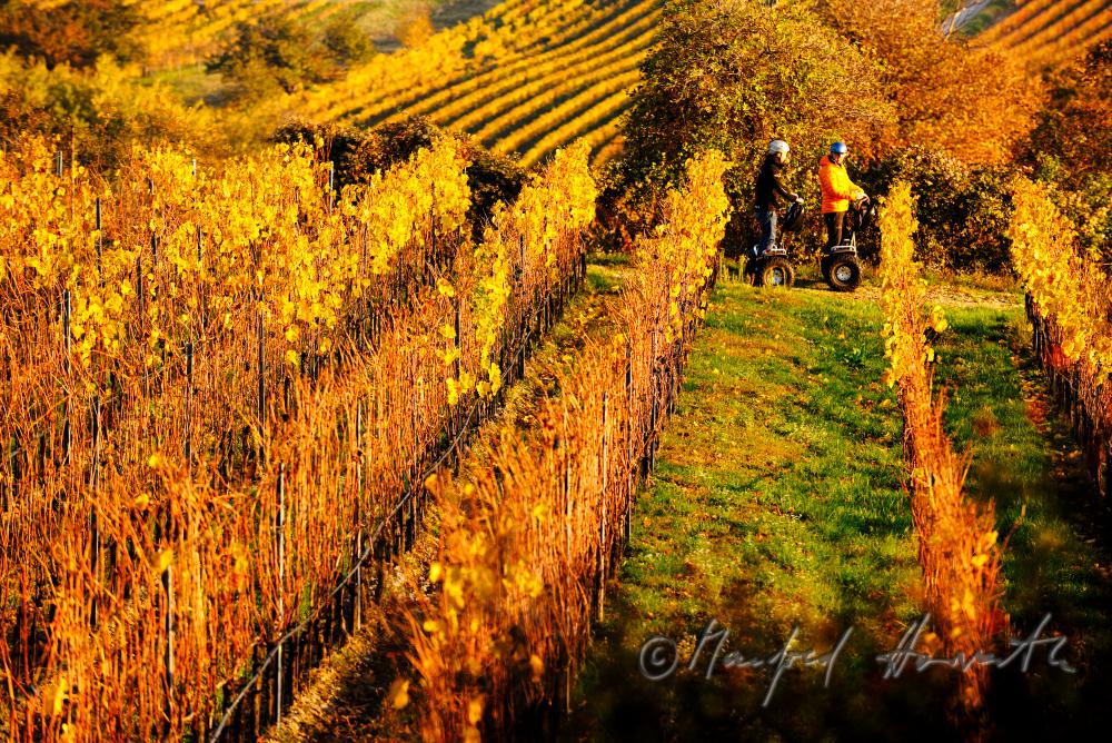 herbstlich verfärbte Blätter und Ausflügler mit Segway