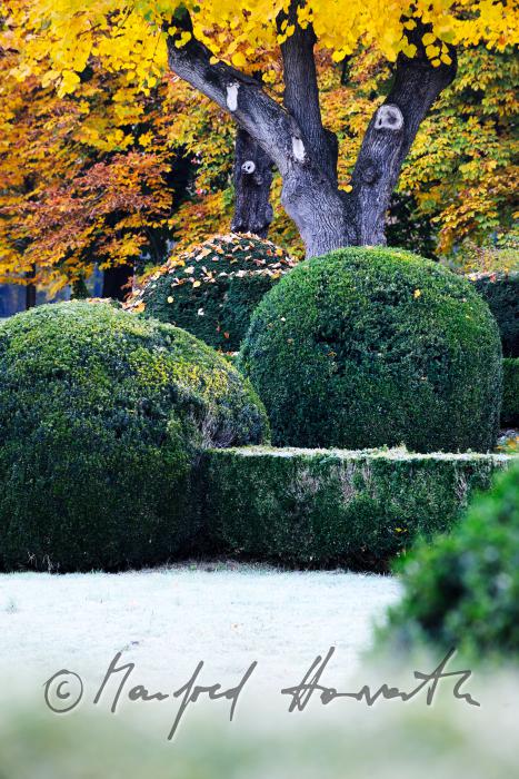 Buchsbäume im barocken Landschaftsgarten