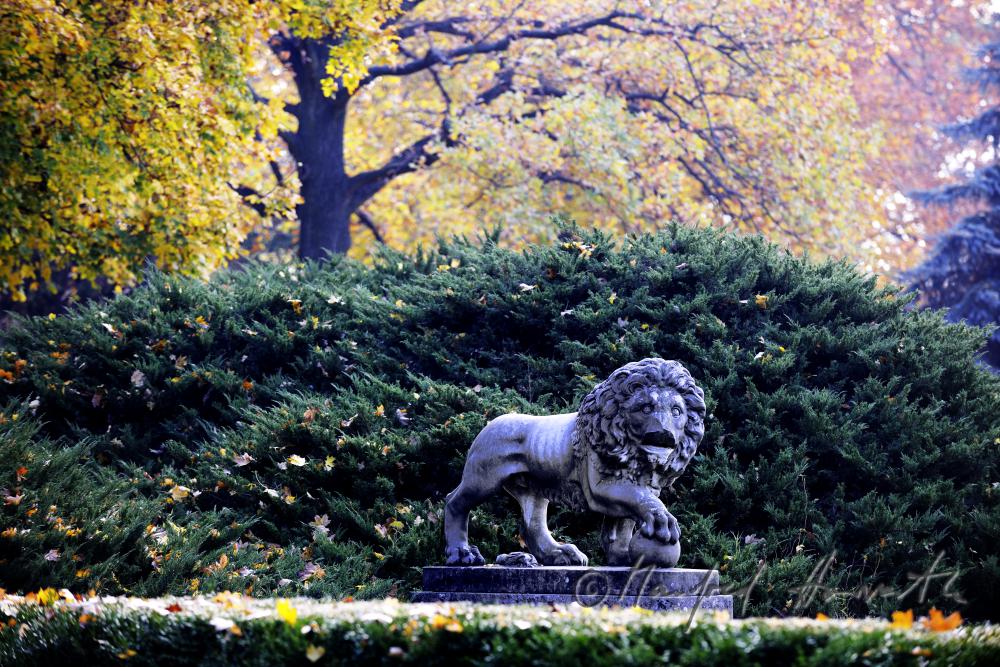 Skulptur eines Löwen und Schlosspark