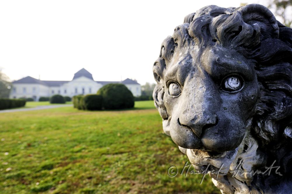 Skulptur eines Löwen und Gartenfront