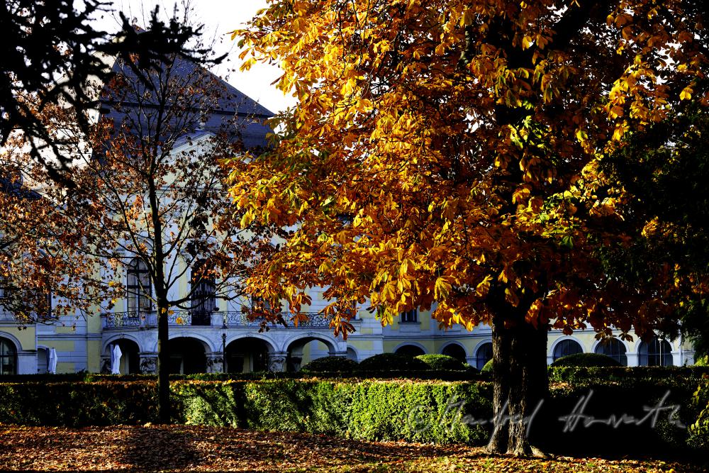 Hauptfassade des Schlosses und Schlosspark