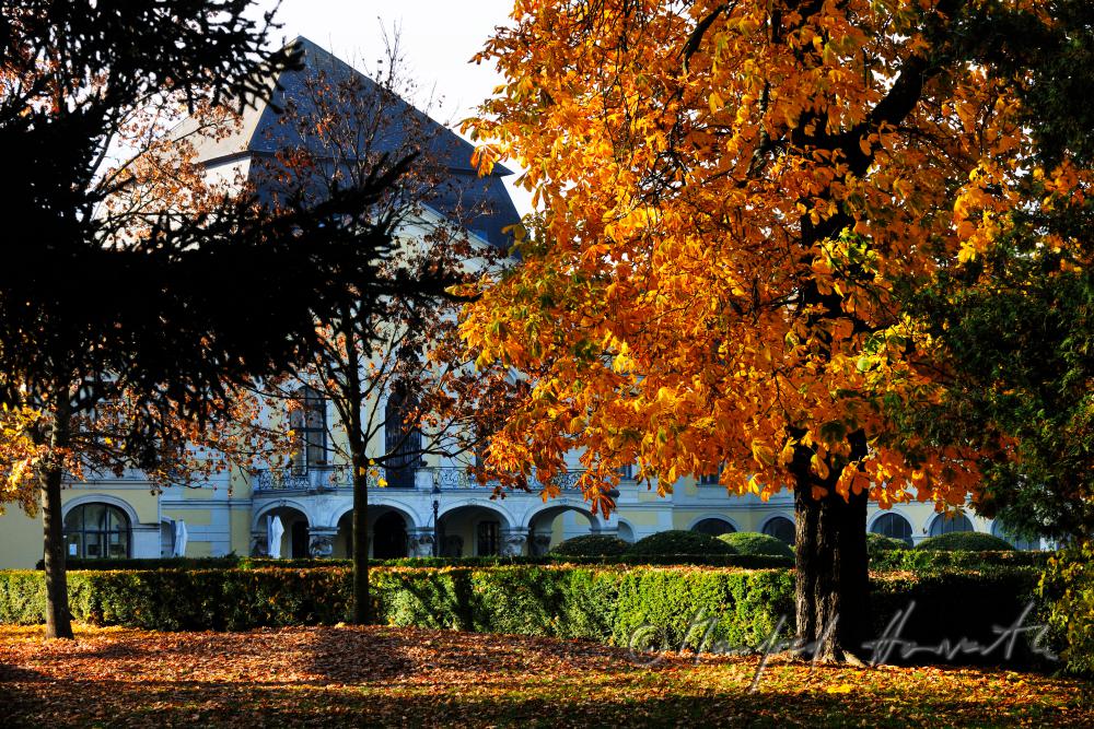 Hauptfassade des Schlosses und Schlosspark