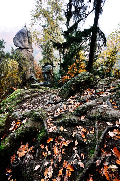 die Felsennnadel 