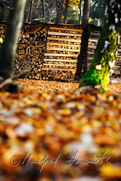 Holzstoss geschlichtet aus Meterscheiten