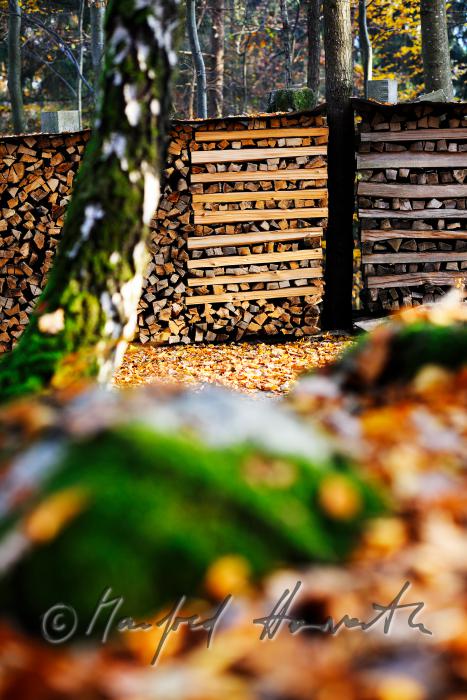 Holzstoss geschlichtet aus Meterscheiten