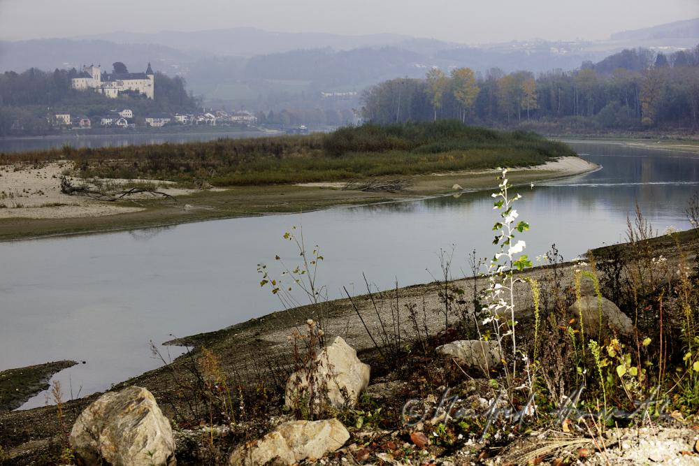Schloss Ottensheim am Ufer der Donau