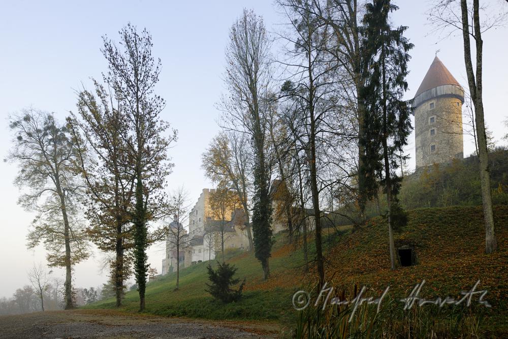 Burg in den Hügeln des Unteren Mühlviertels