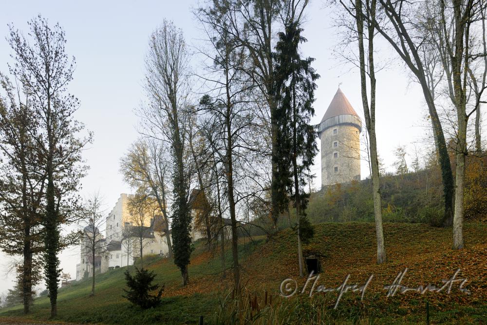 Burg in den Hügeln des Unteren Mühlviertels