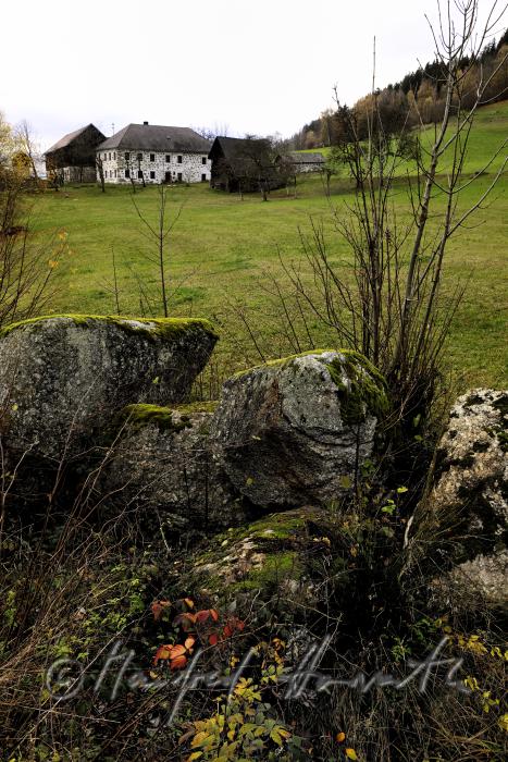 Granit-Findlinge in einem Feld vor Steinblass-Hof