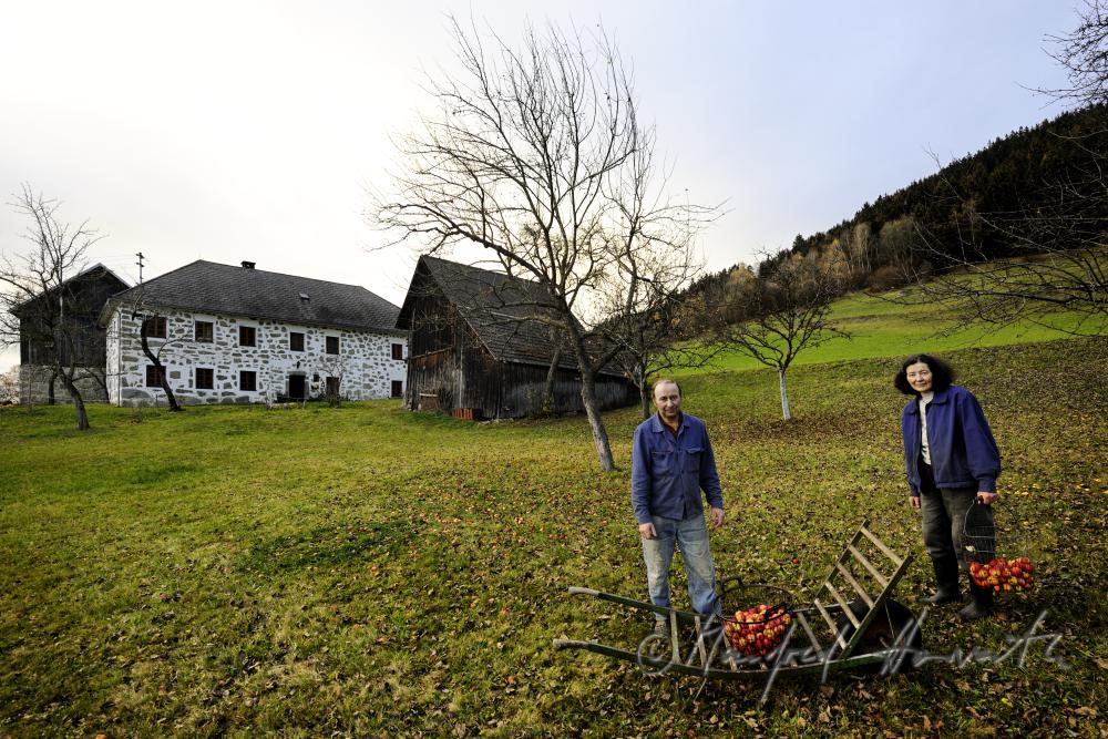 Bauern (Geschwister) bei der Apfelernte