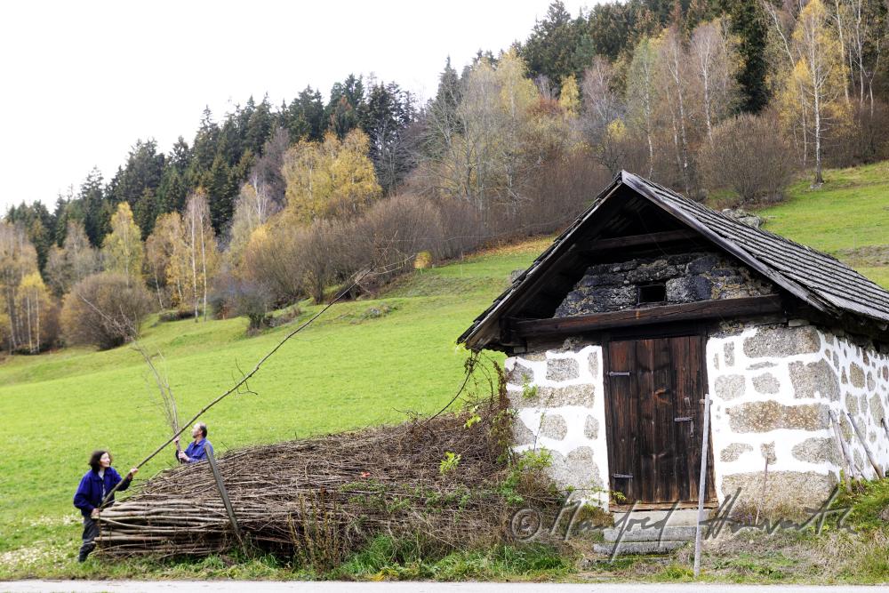 Bauern schlichten lange Holzstangen beim Brotbackhaus