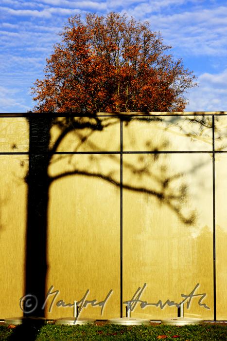 moderner Zubau zum Garten und Reflexion von Pflanzen