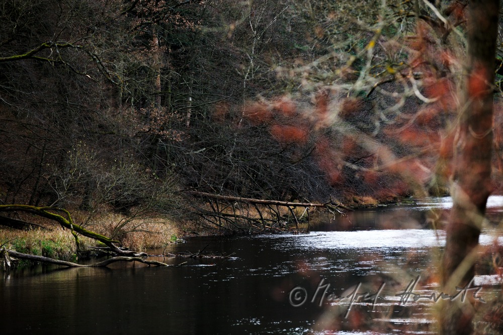 Flussbett des Kamp in Herbstfarben