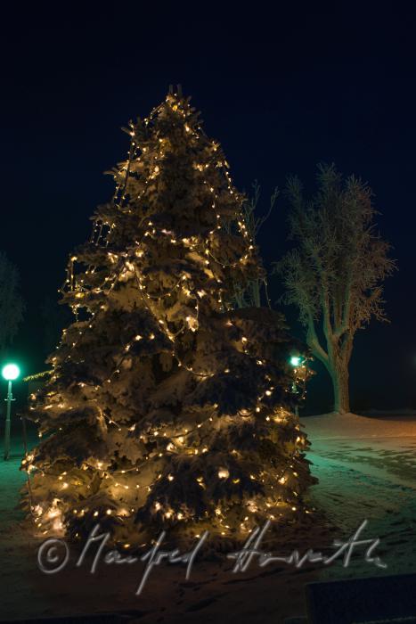 Weihnachtsbaum am Hauptplatz