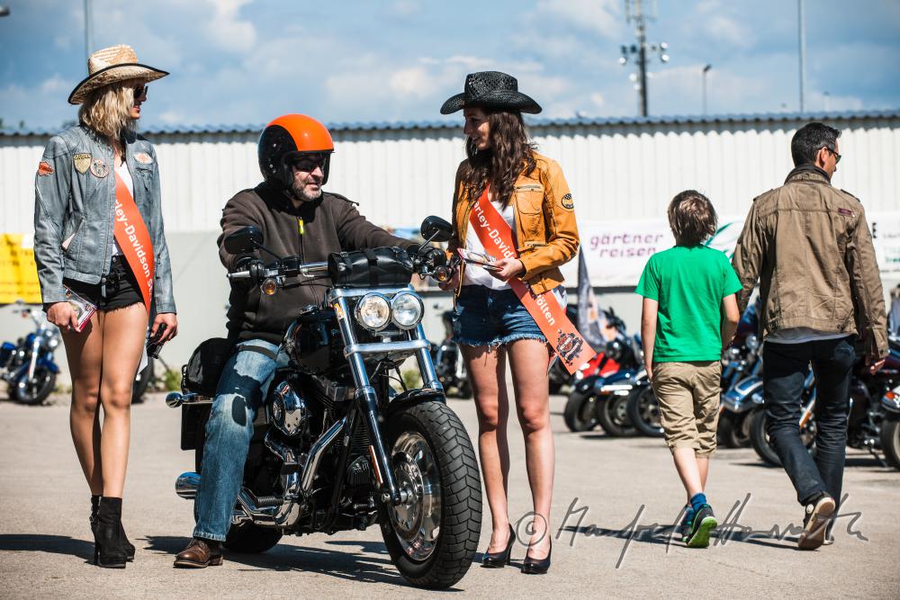 Harley Davidson-Motorradtreffen