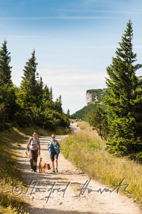 Wanderer mit Hund auf dem Höhenweg beim Erzherzog-Otto-Schutzhaus