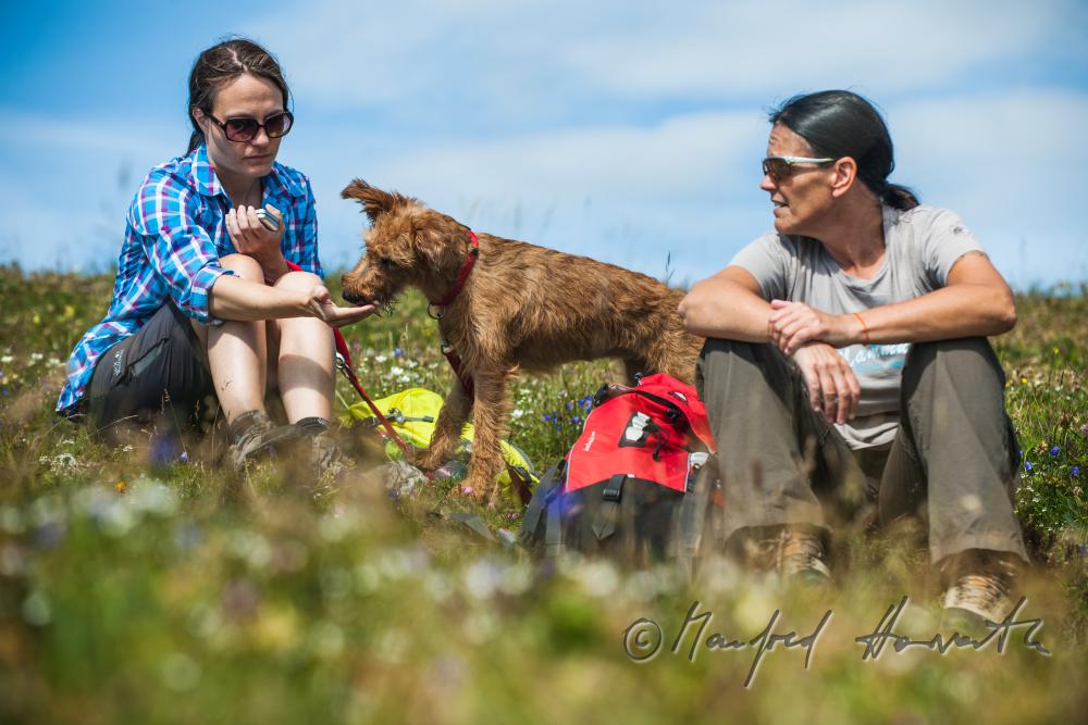 Wanderer mit Hund auf dem Höhenweg beim Erzherzog-Otto-Schutzhaus