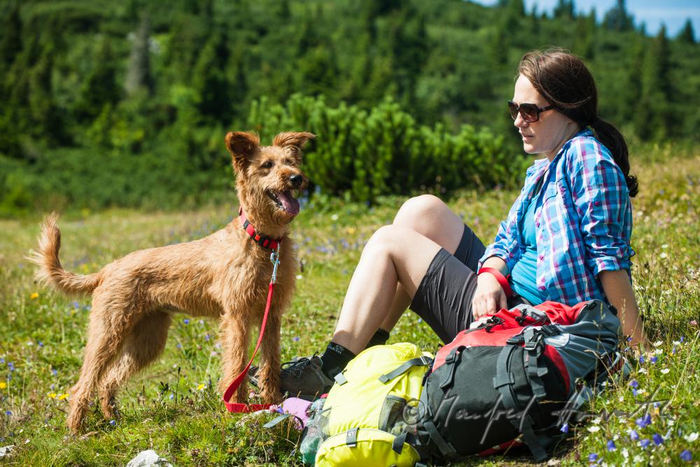 Wandererin mit Hund auf dem Höhenweg