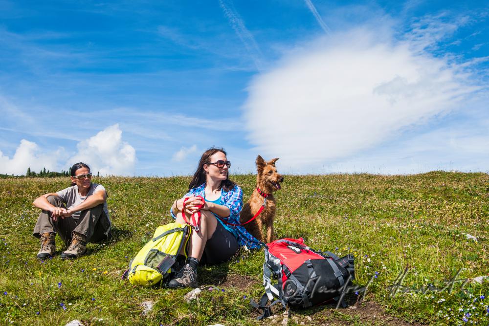Wanderer mit Hund auf dem Höhenweg beim Erzherzog-Otto-Schutzhaus