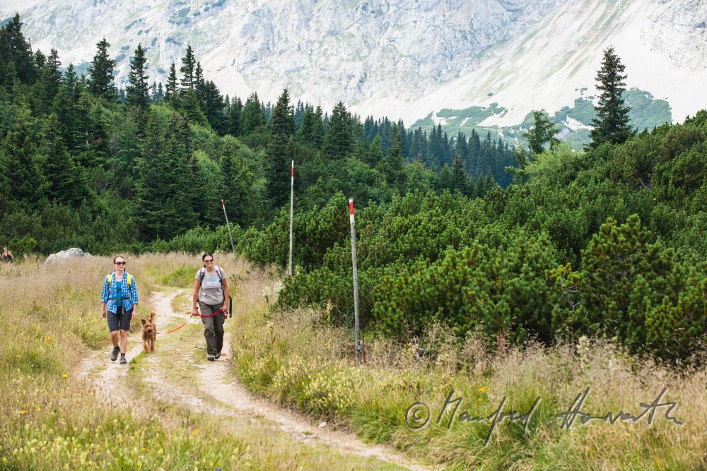 Wanderer mit Hund auf dem Höhenweg beim Erzherzog-Otto-Schutzhaus