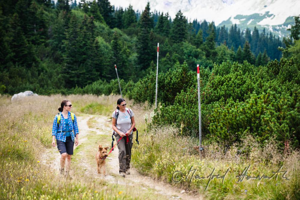 Wanderer mit Hund auf dem Höhenweg beim Erzherzog-Otto-Schutzhaus