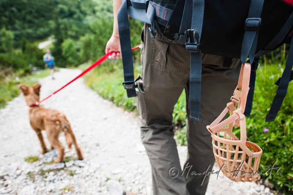 Wandererin mit Hund auf dem Höhenweg