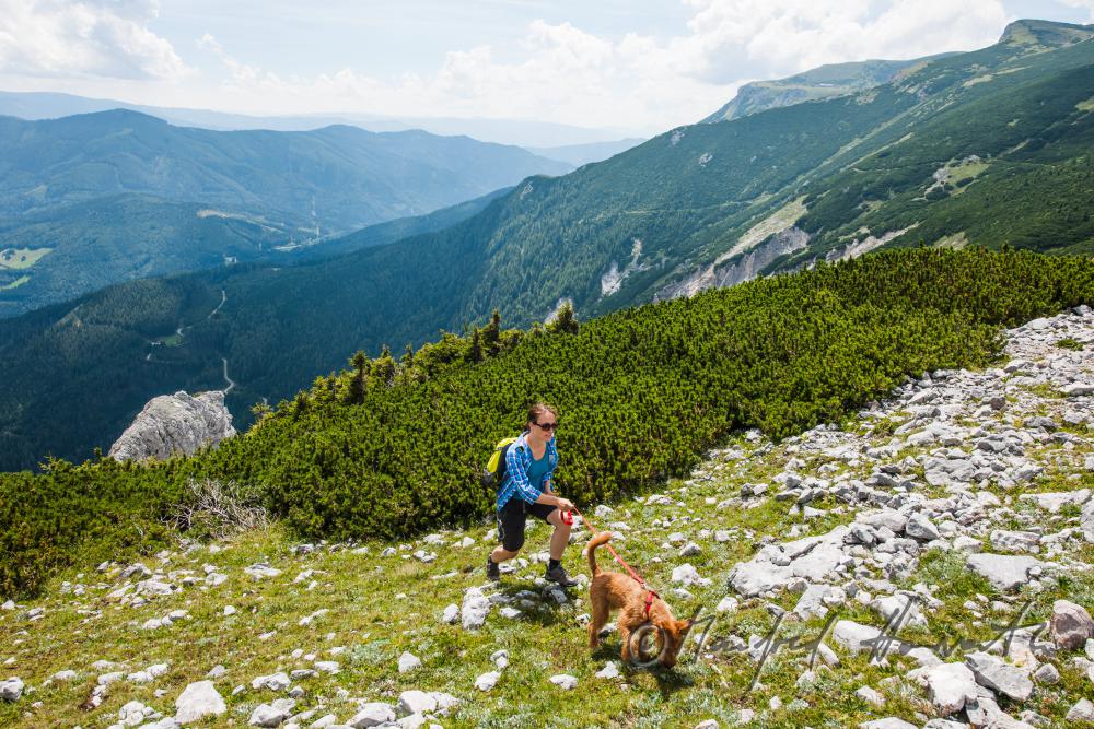 Wandererin mit Hund bei der Preinerwand