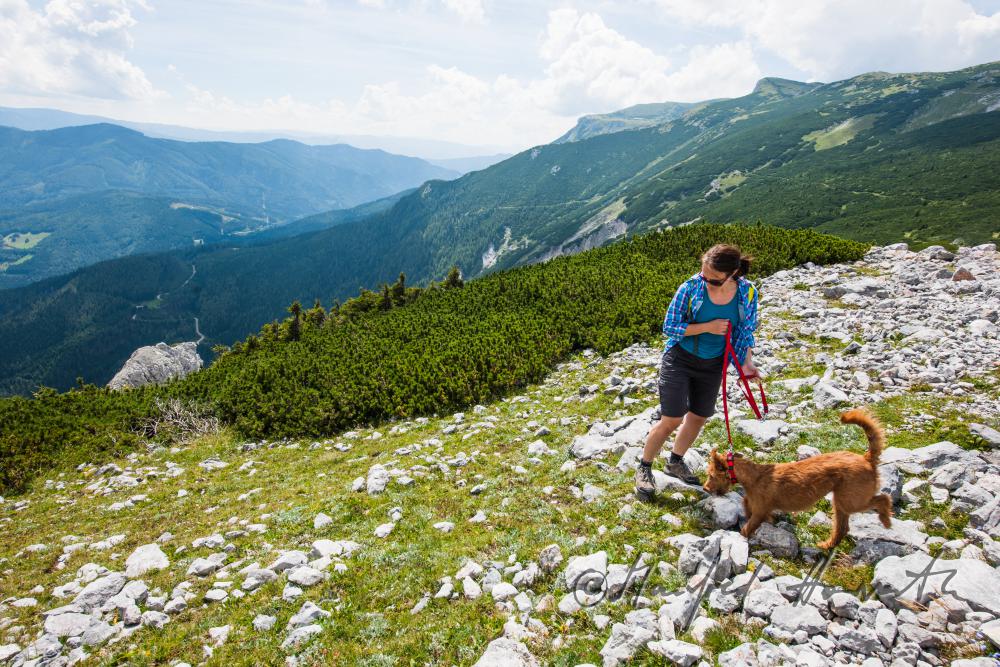 Wandererin mit Hund bei der Preinerwand
