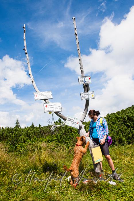 Wanderer mit ihrem Weggefährten beim Wegweiser der Seehütte