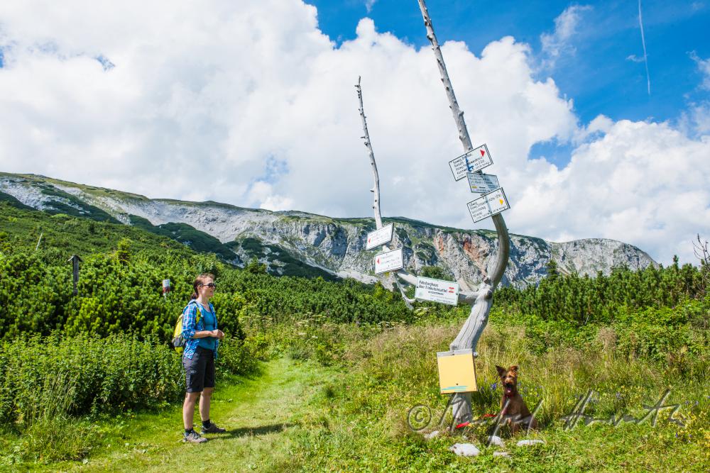 Wanderer mit ihrem Weggefährten beim Wegweiser der Seehütte