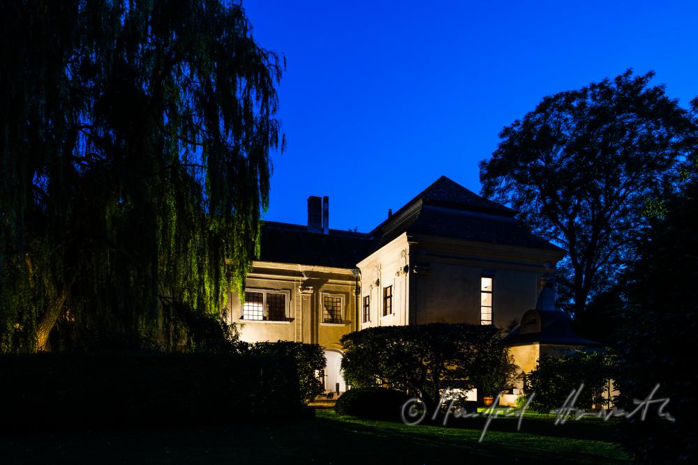 Garten mit Altbäumen und Südfassade