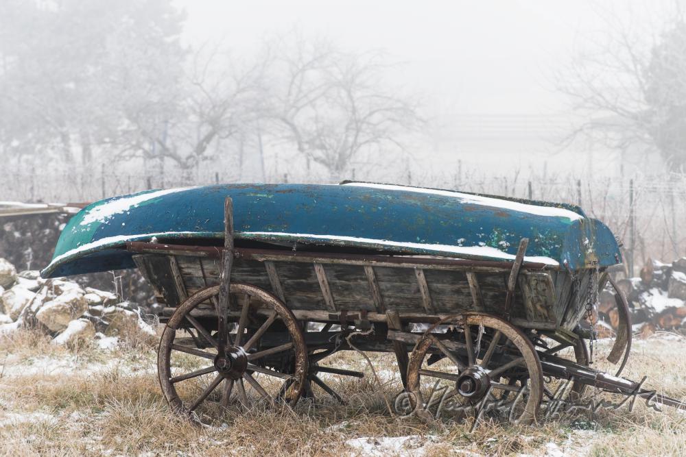 Ruderboot überwintert auf einem Leiterwagen bei einem Weingarten