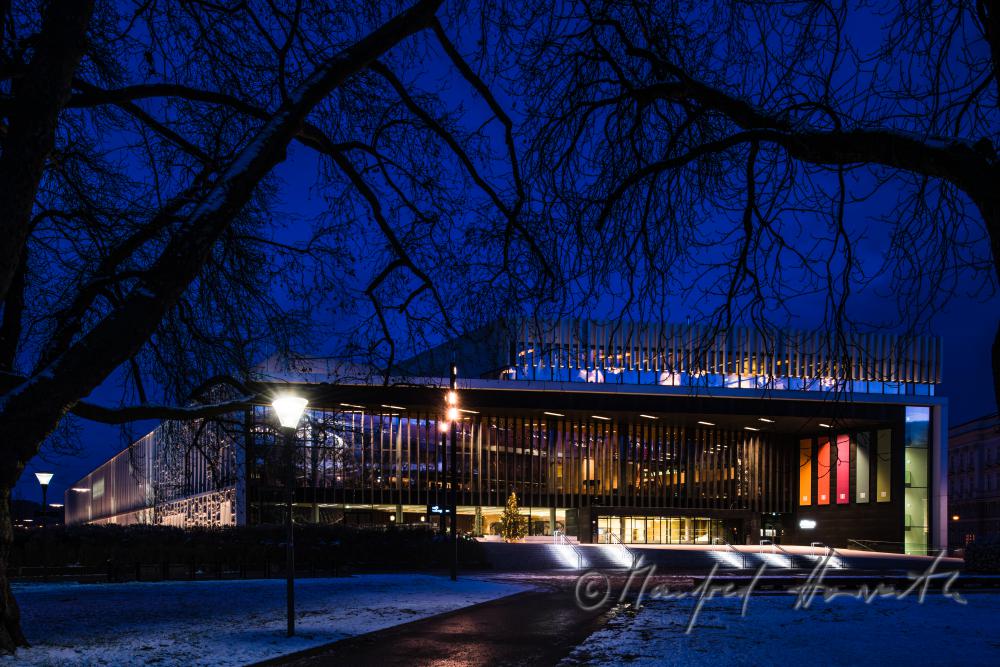 Musiktheater Linz und Platanen des Parks