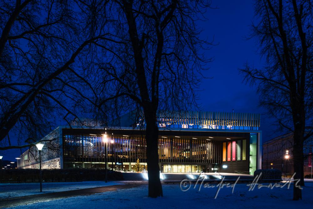 Musiktheater Linz und Platanen des Parks