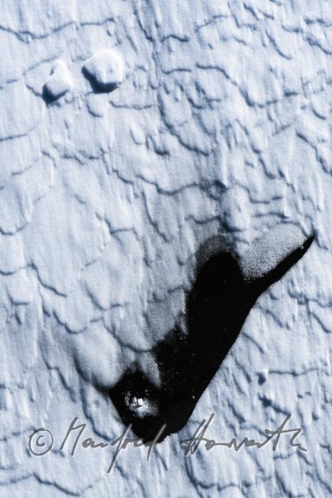 natürlich entstandene Eis-Skulptur auf offenem See