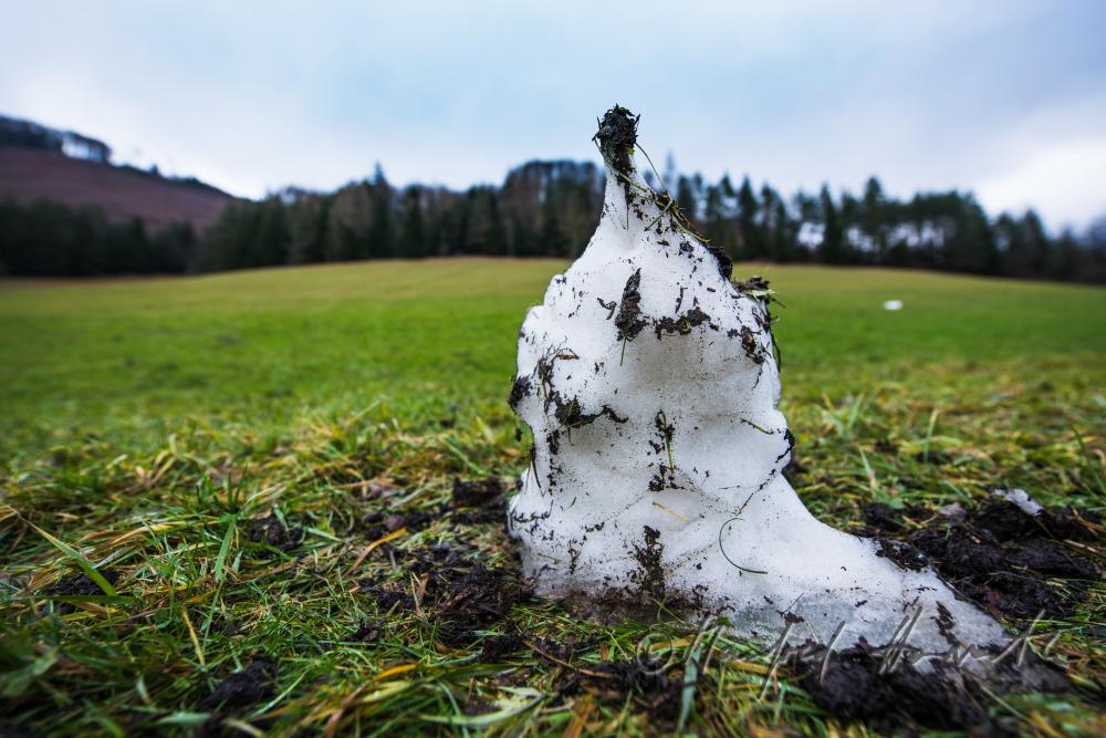 letzter Rest vom Schnee (Schneemann)