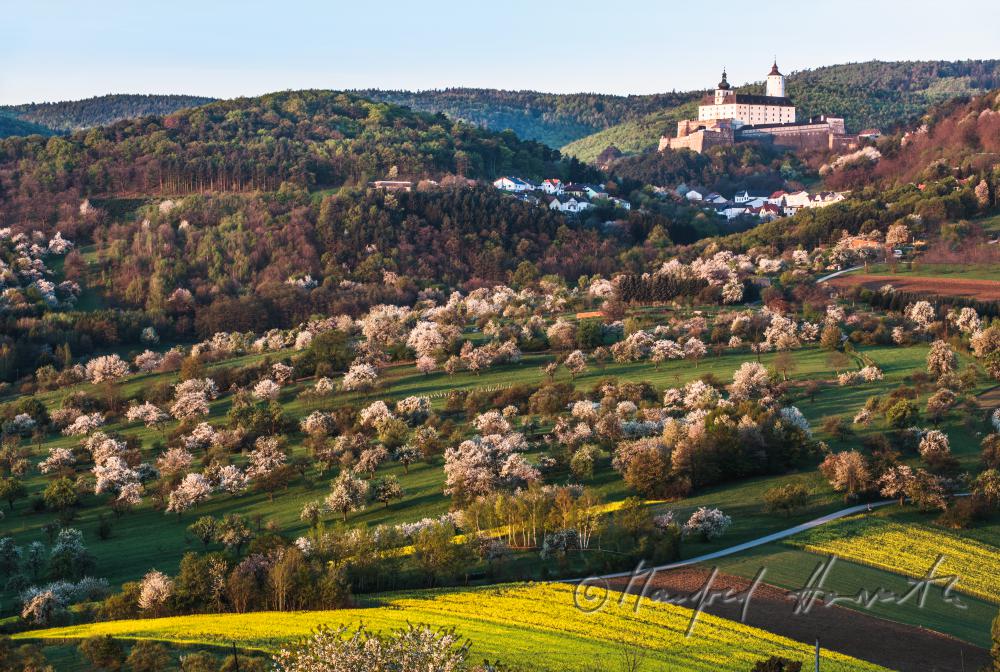 Rosaliengebirge und Obstgärten in Blüte