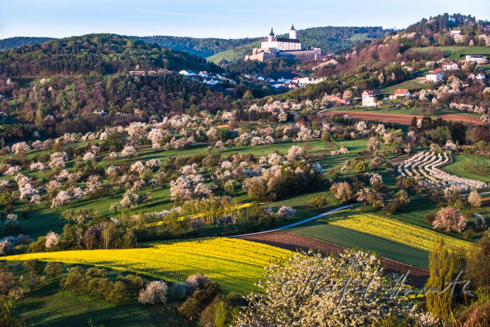 Rosaliengebirge und Obstgärten in Blüte