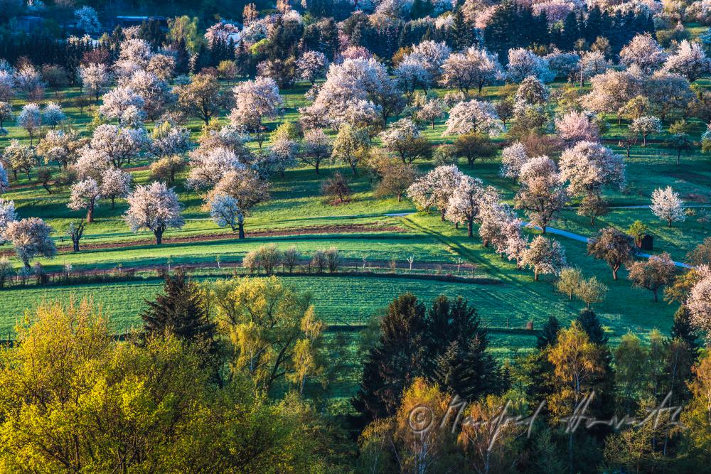 Rosaliengebirge und Obstgärten in Blüte