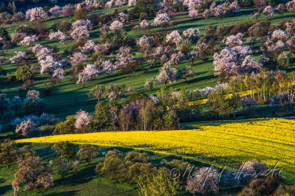 Rosaliengebirge und Obstgärten in Blüte