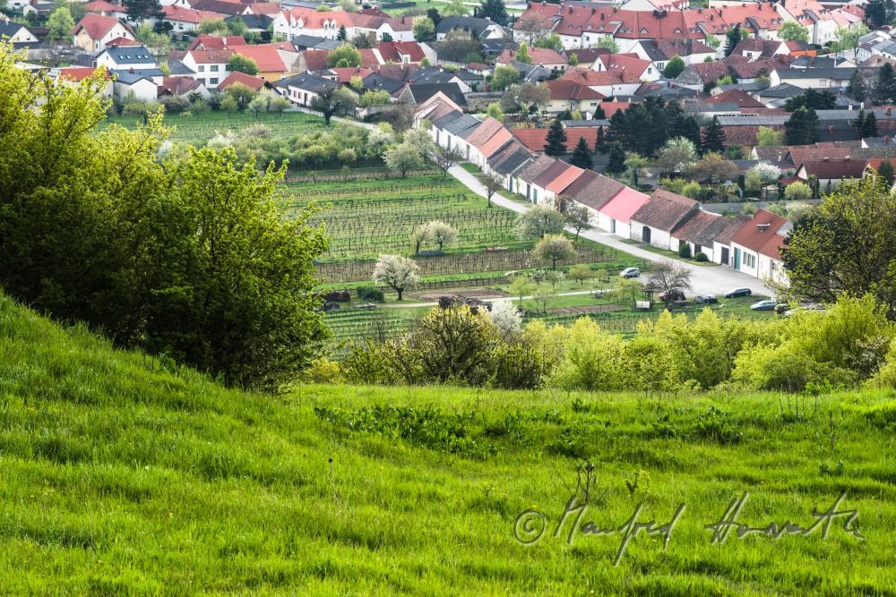 Blick über das Ährenfeld auf die Scheunenzeile