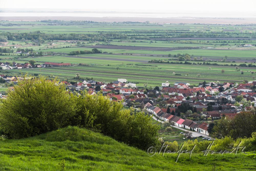 Blick über das Ährenfeld auf die Scheunenzeile